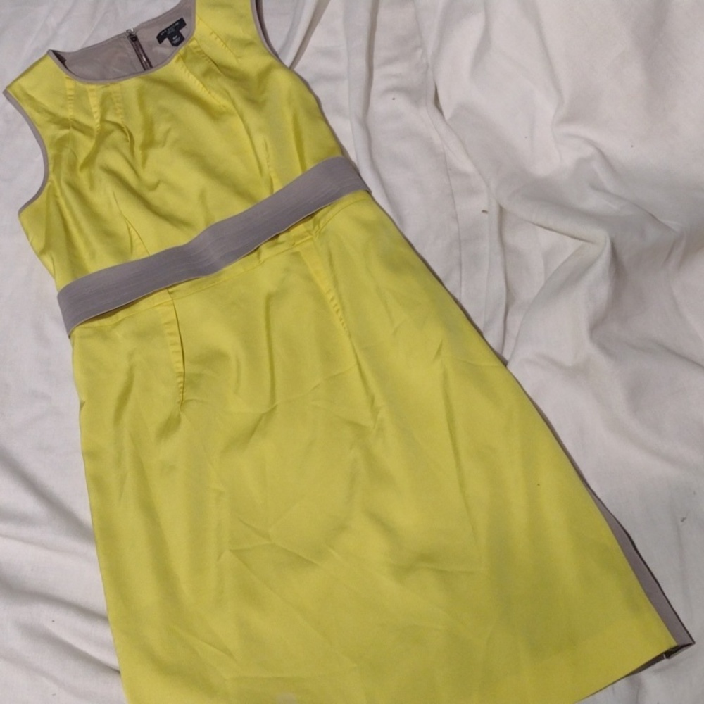 Ann Taylor dress petite size 4